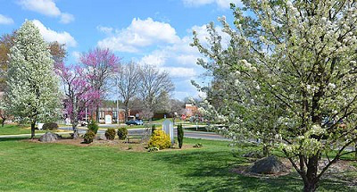 campusView