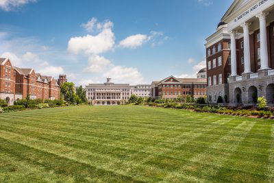 The-Lawn