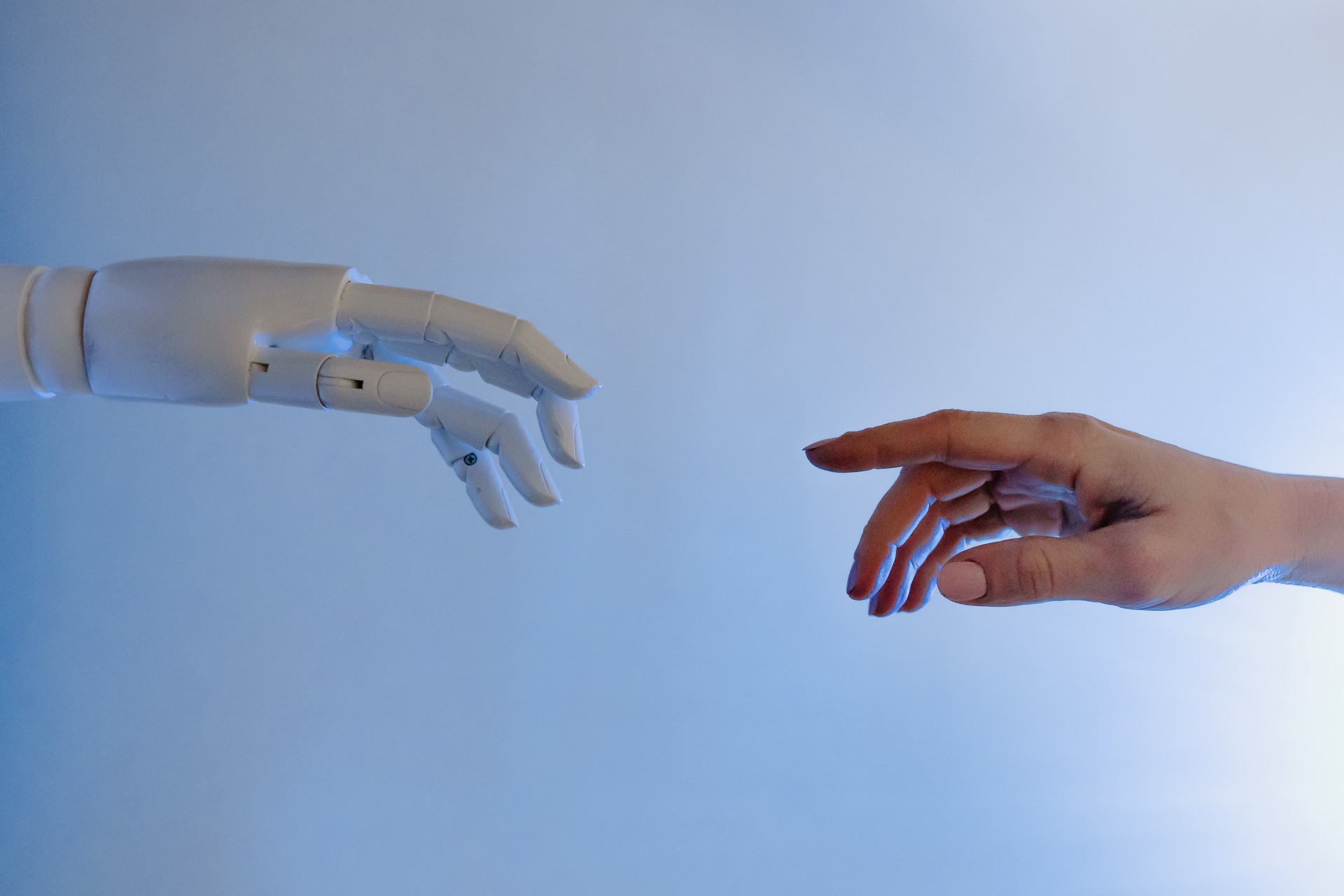 Pexels Ai