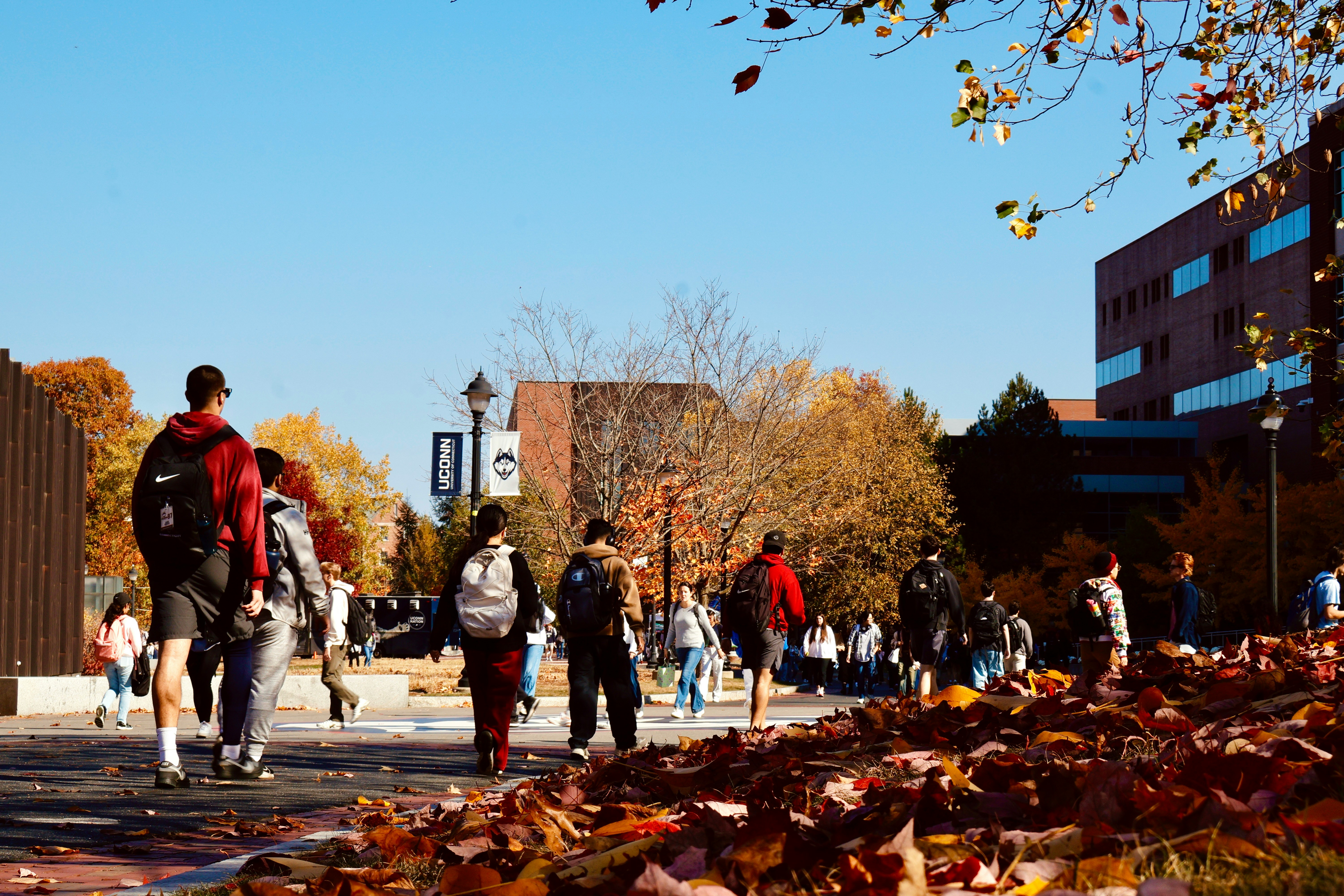 University campus walkway with students amid fall foliage and autumn leaves
